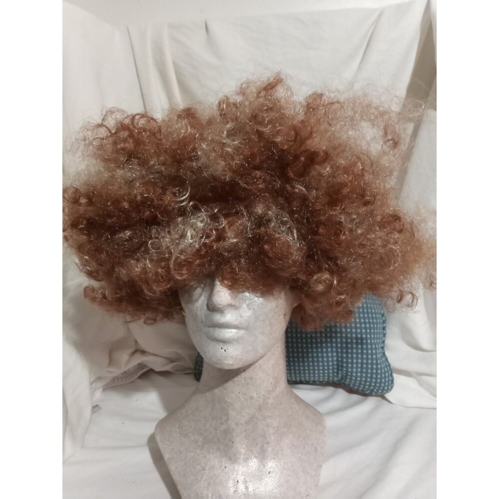 Afro Wig Halloween Clown 60s 70s Disco Costume Curly Fro Brown